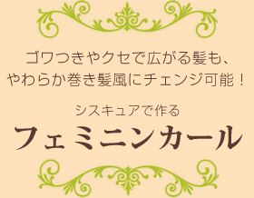 フェミニンカール