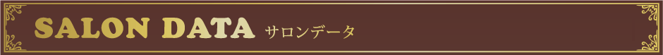 サロンデータ